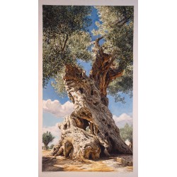 Stampa fine art di un antico ulivo secolare con tronco nodoso contro un cielo azzurro e nuvole bianche.