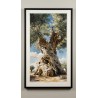 Antico Ulivo Secolare – Stampa Fine Art Botanica